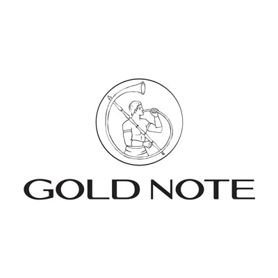 https://vinylsaigon.vn/wp-content/uploads/2024/11/goldnote-logo-car.webp